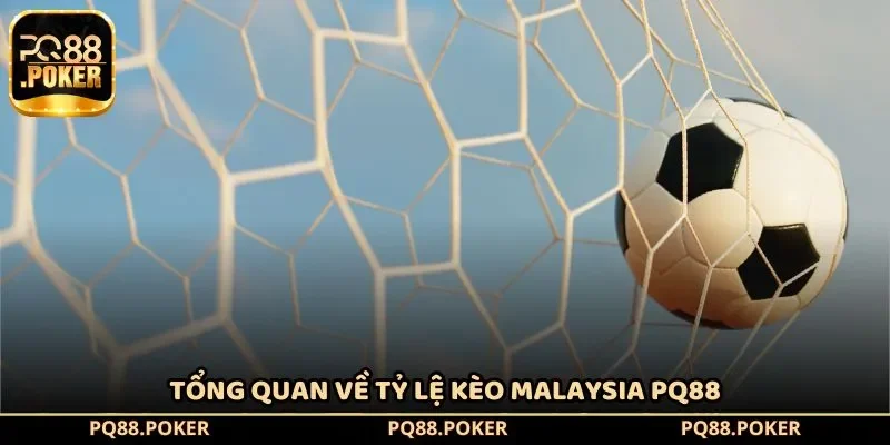 Tổng quan về tỷ lệ kèo Malaysia PQ88